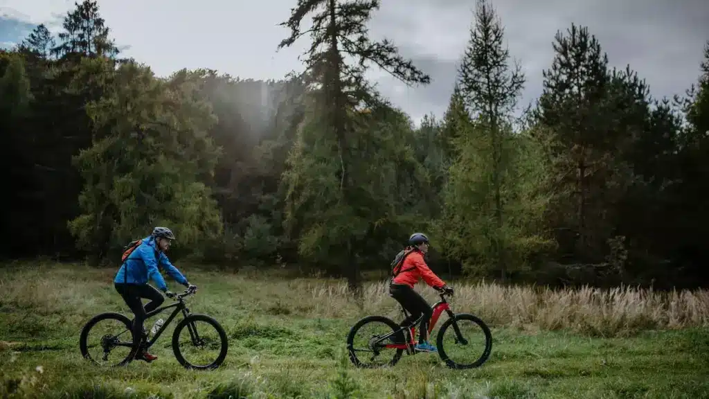 People Cycling In The New Forest 