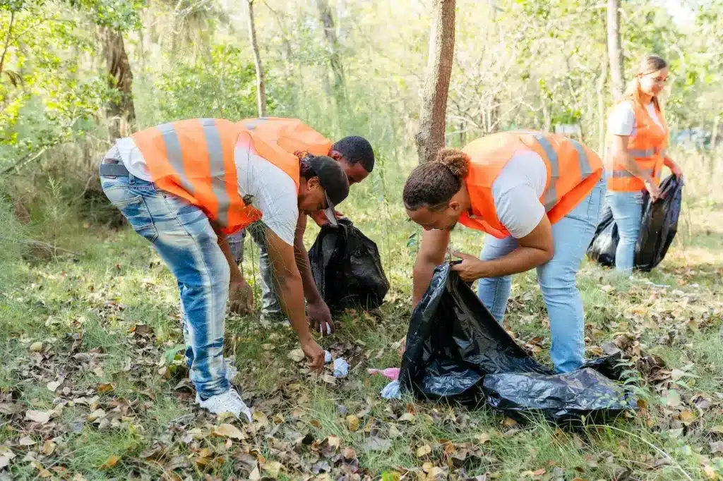 People Cleaning The New Forest Clean 