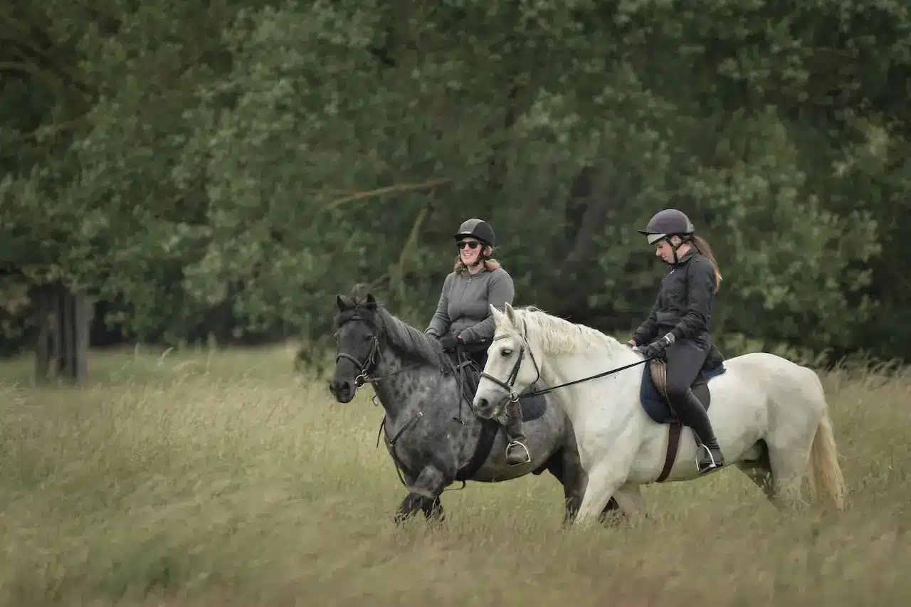 The Two Person Were Horse Riding In The New Forest