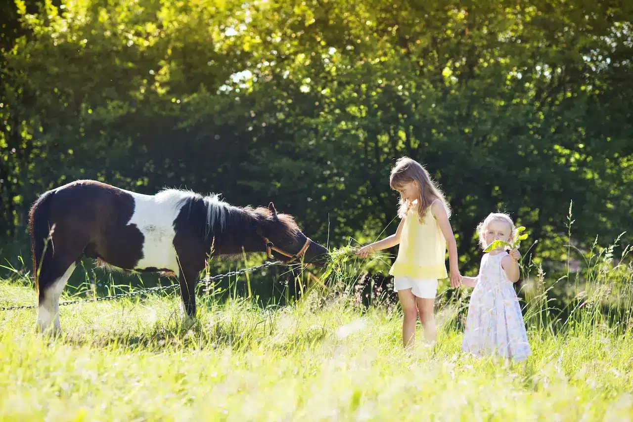 Two Children Feeding The Horse In Longdown Activity Farm