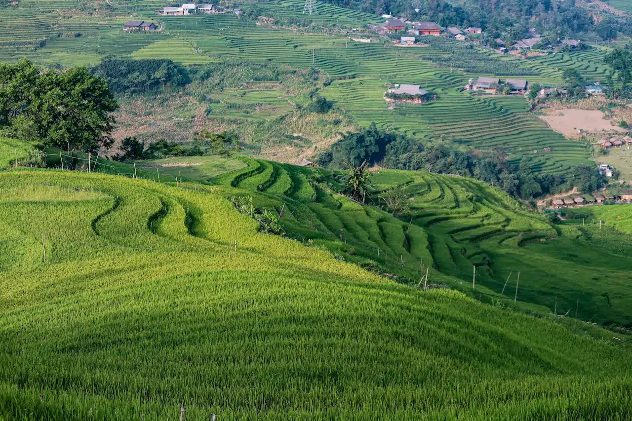 The Green Field Of Longdown Activity Farm Satellite View