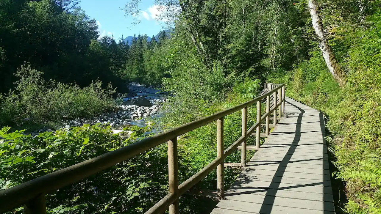 Forest Wooden Bridge Rhinefield Ornamental Drive