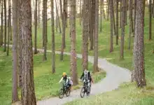 Best Cycling Trails in New Forest