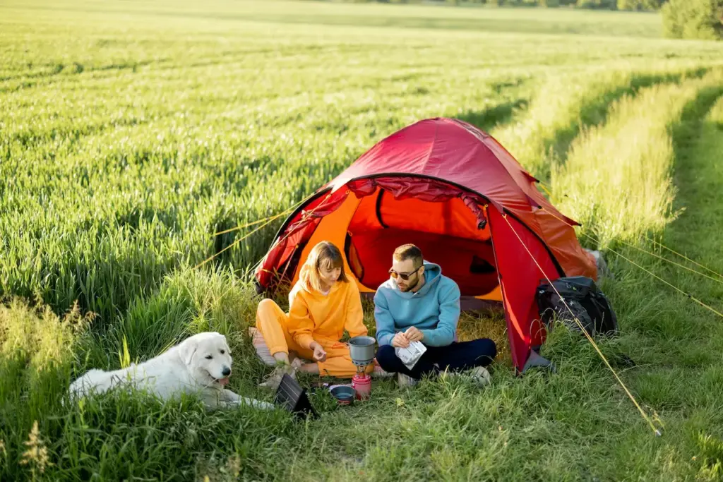 Forest Camping Adventure With Dog