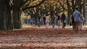 People Walking Through A Forest